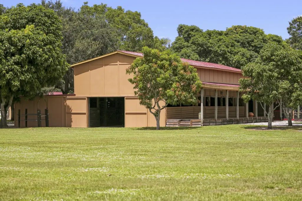 Picture 10