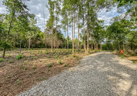 Lake Villa Wooded Land