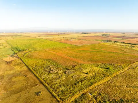 Tillable Farmland Tract with Pond