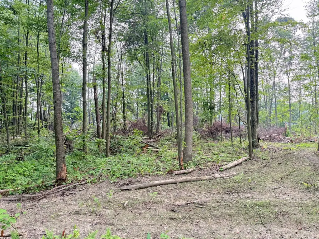 Picture 3