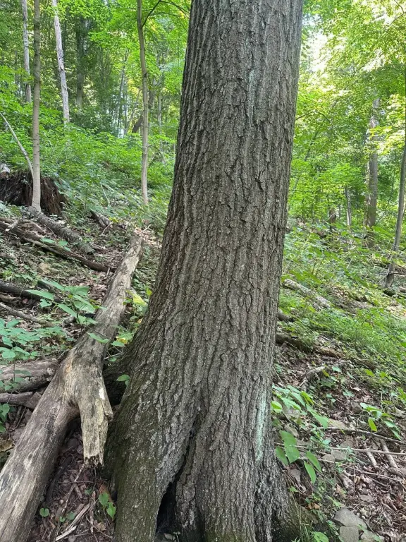 Picture 14