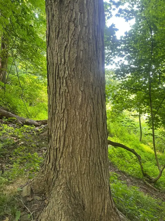 Picture 10