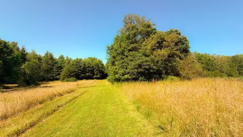 Tillable Farmland with Hardwood Timber
