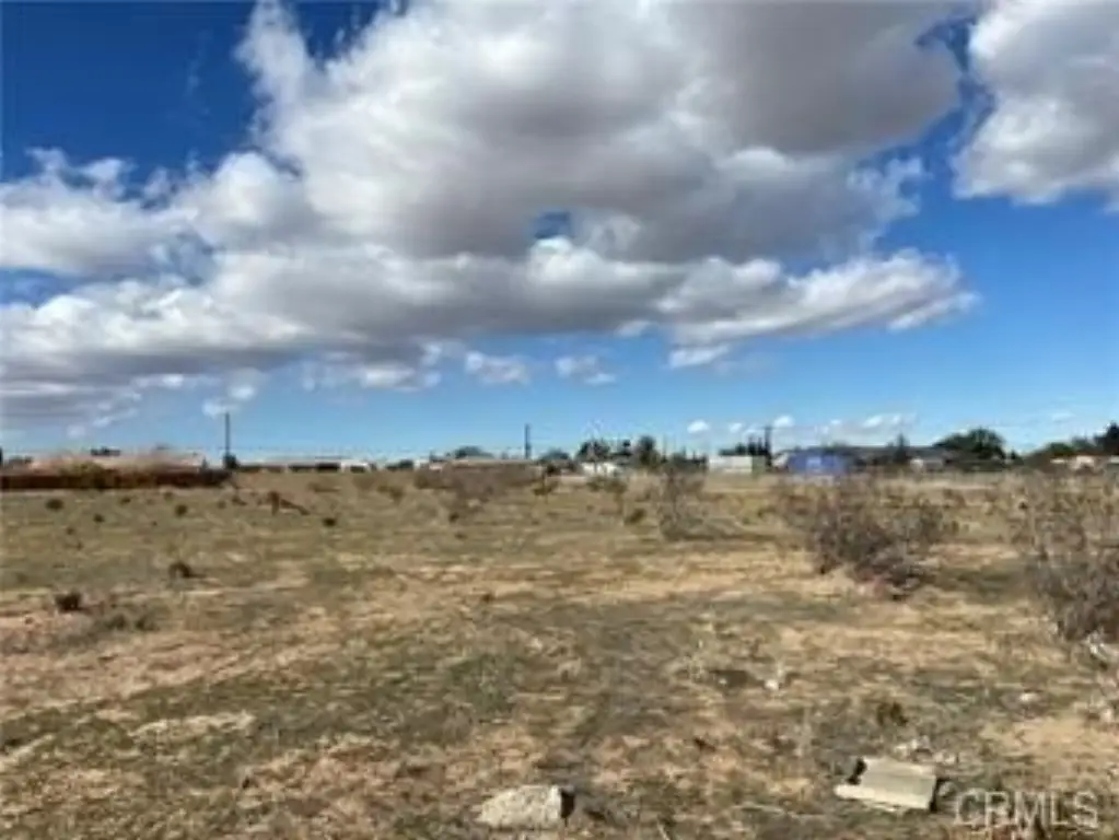 Picture 8