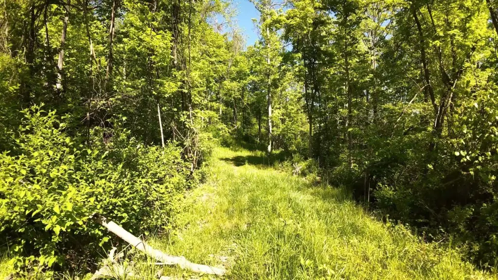 Picture 7