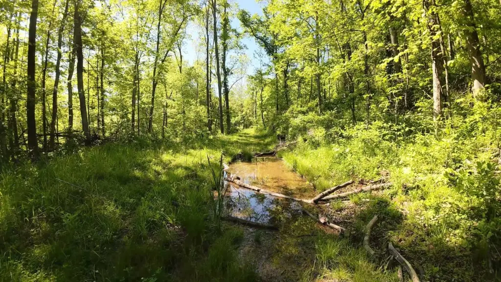 Picture 8
