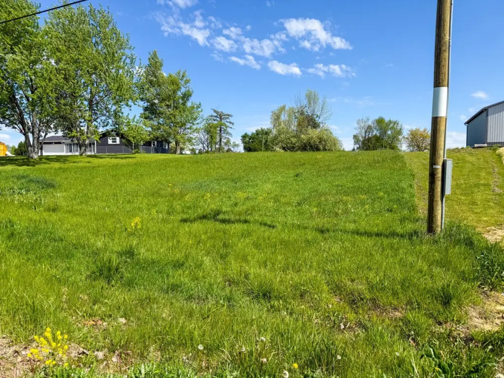 Picture 9