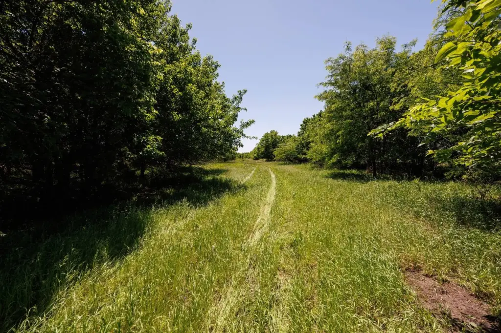 Picture 37