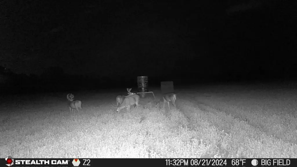 Picture 58