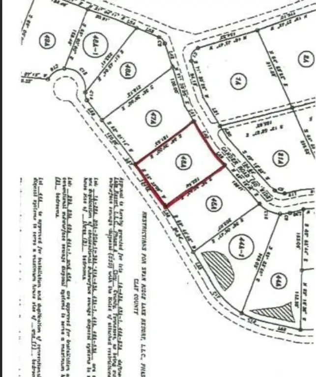Picture 25