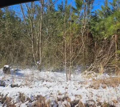 Reedville Land Near Buzzard Point