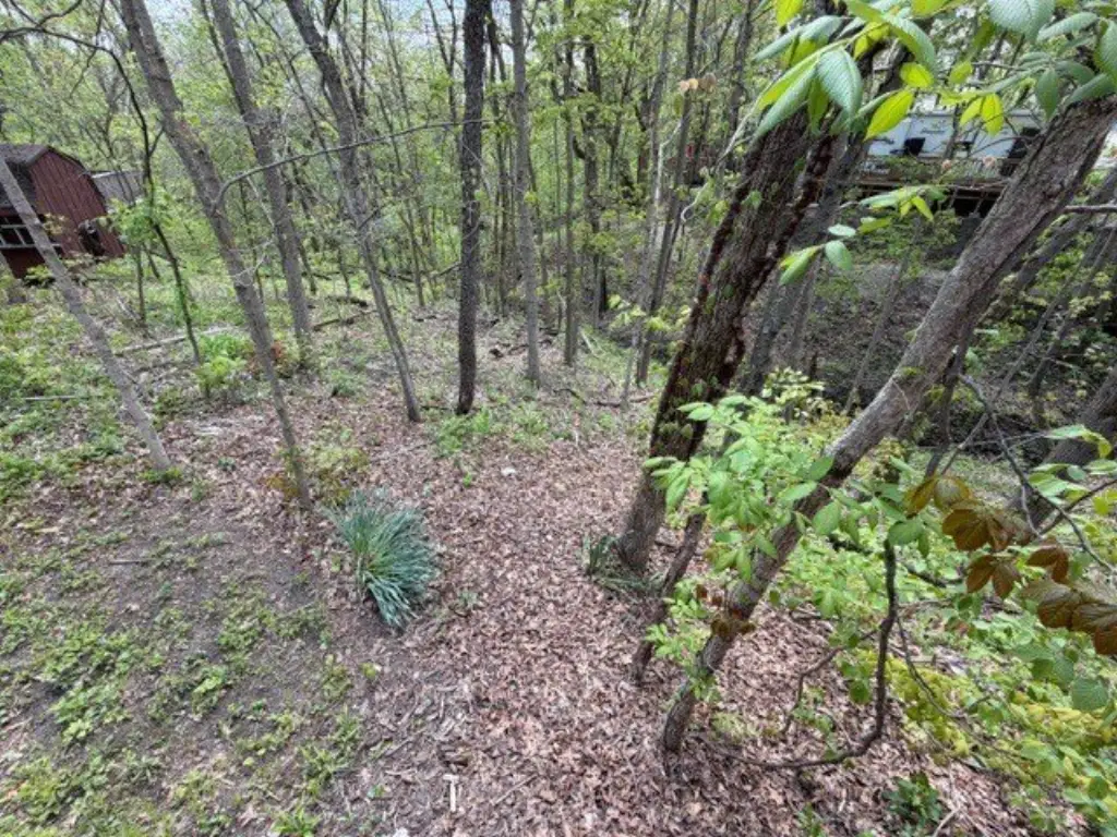 Picture 17