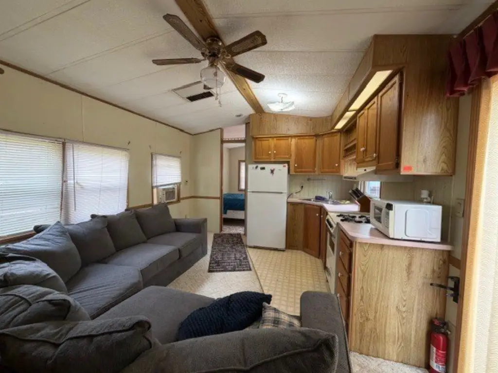 Picture 6