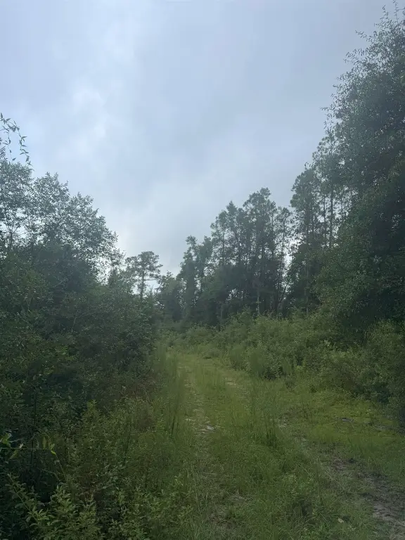 Picture 2