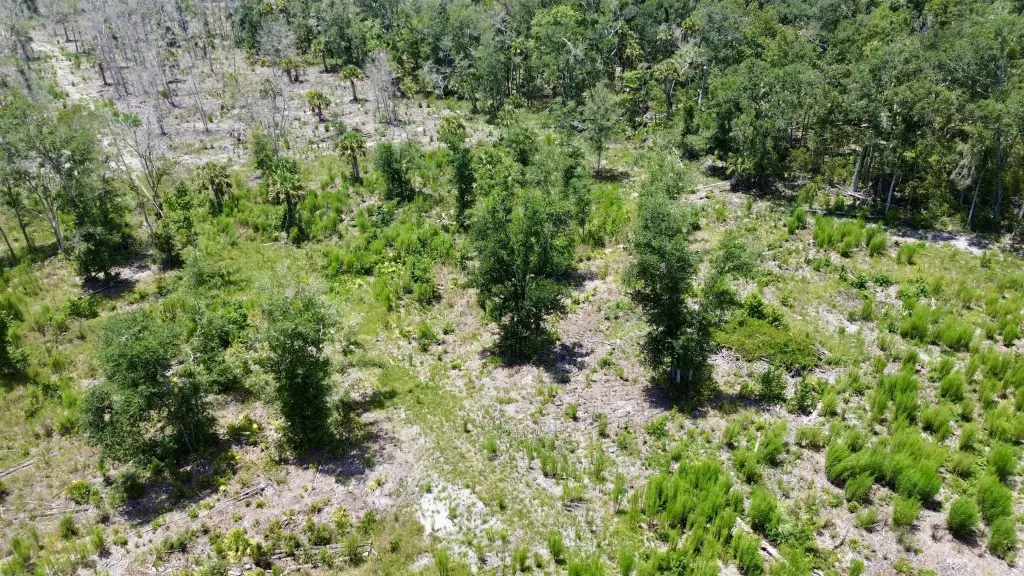 Picture 41