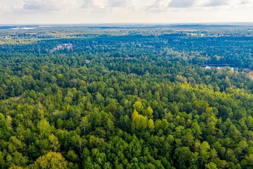Picture 44