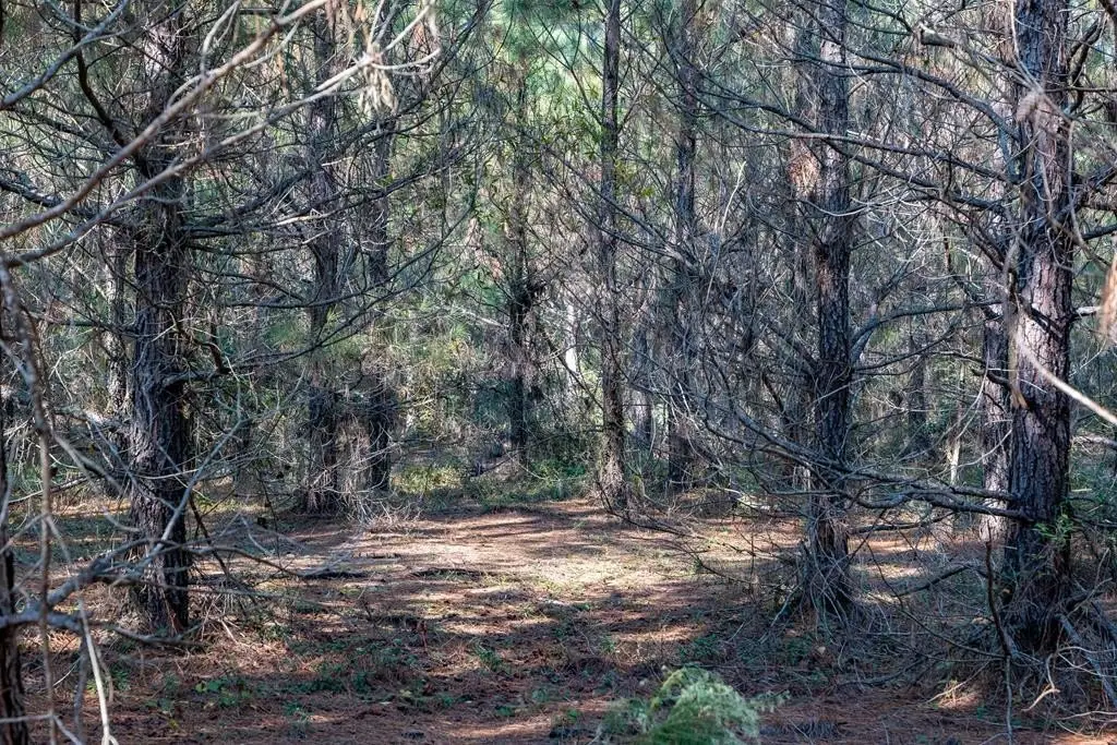 Picture 23