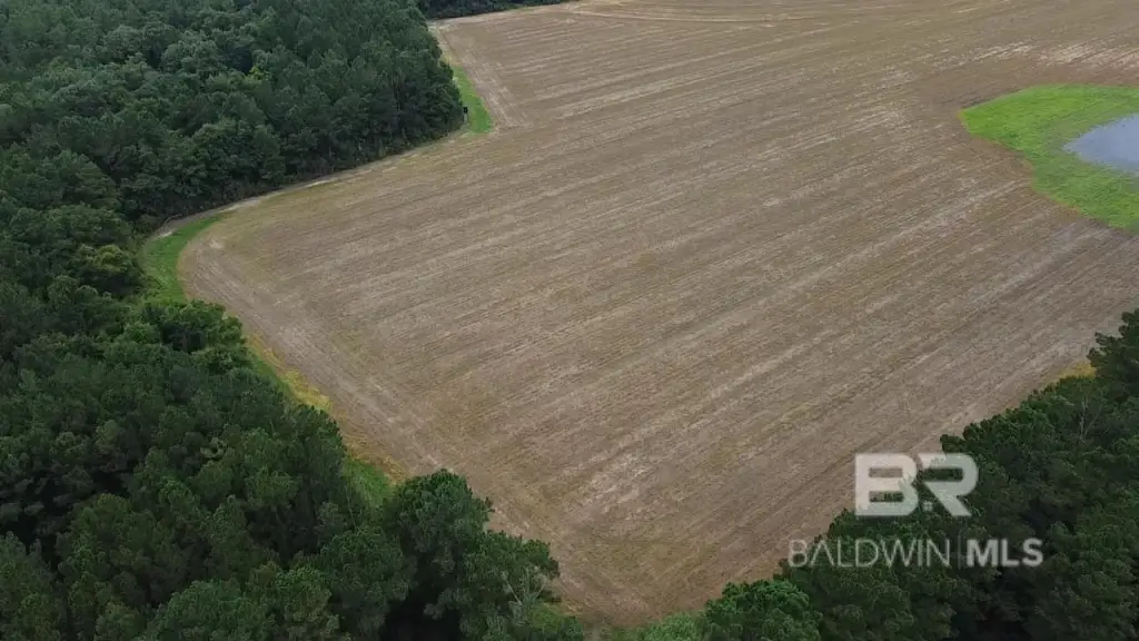Picture 35