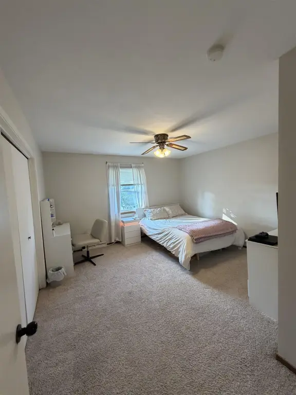Picture 7
