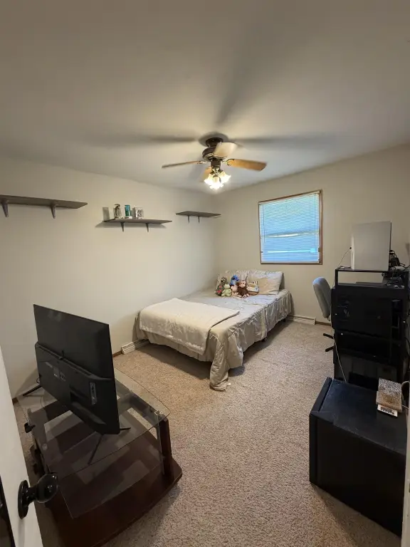 Picture 8