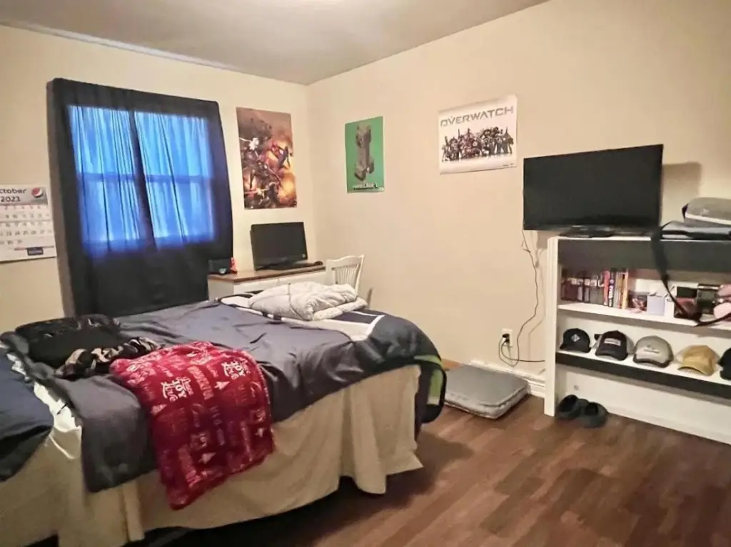 Picture 17