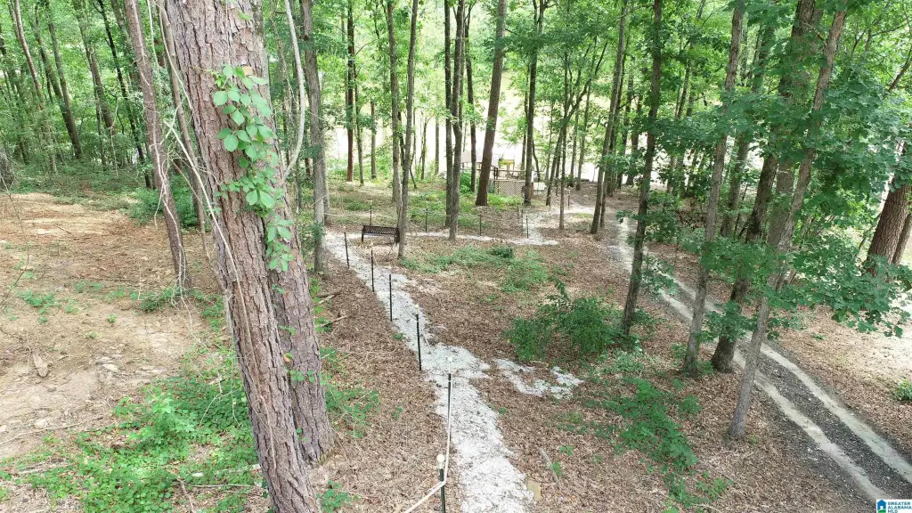 Picture 6