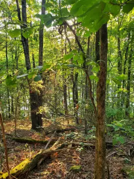 Residential Lot in Lakeside Neighborhood