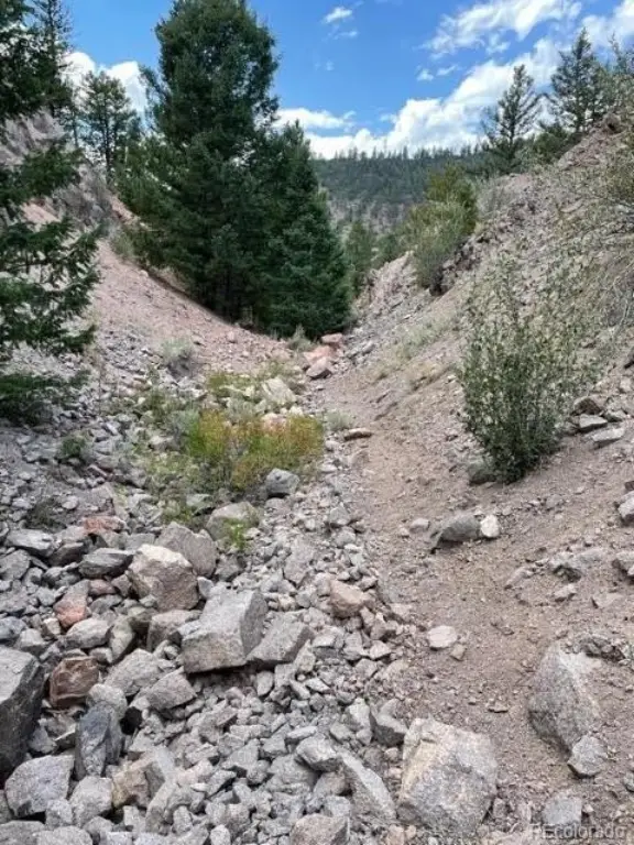 Picture 7