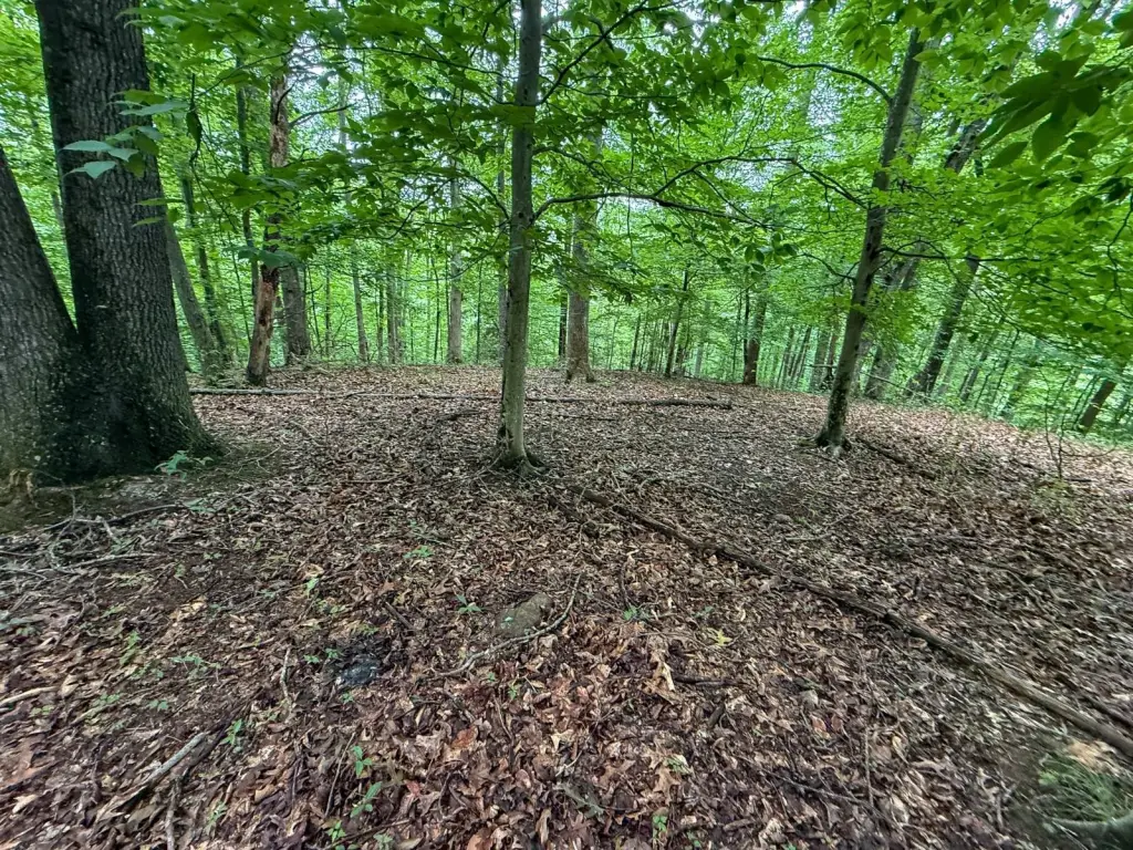 Picture 6