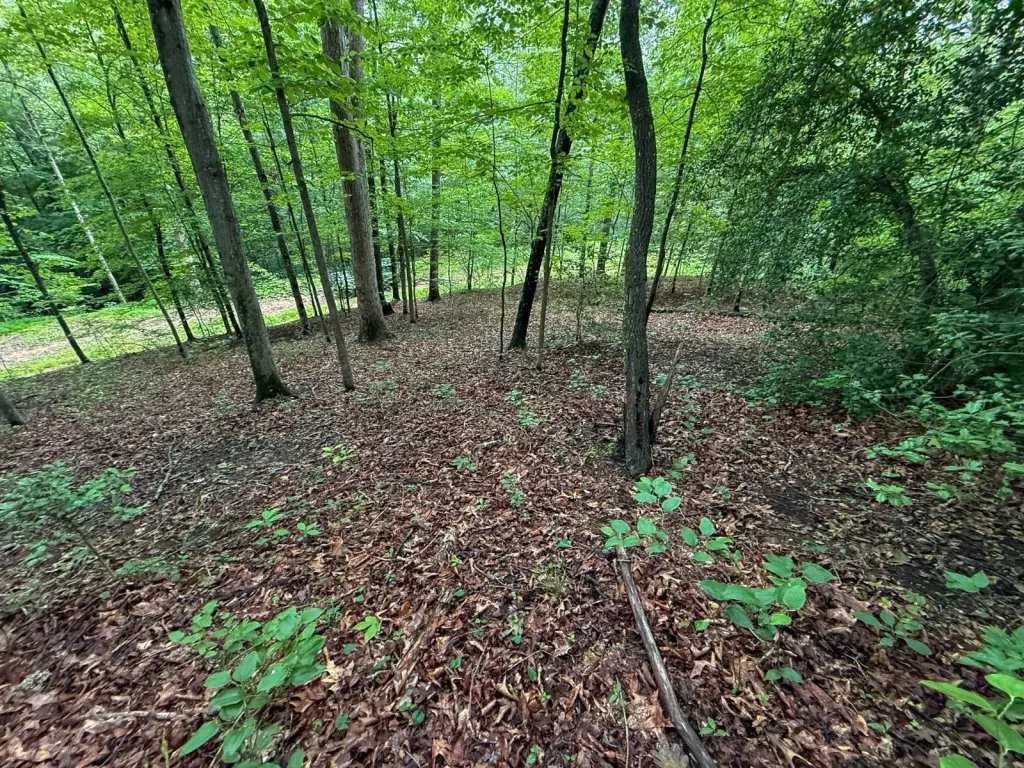 Picture 4
