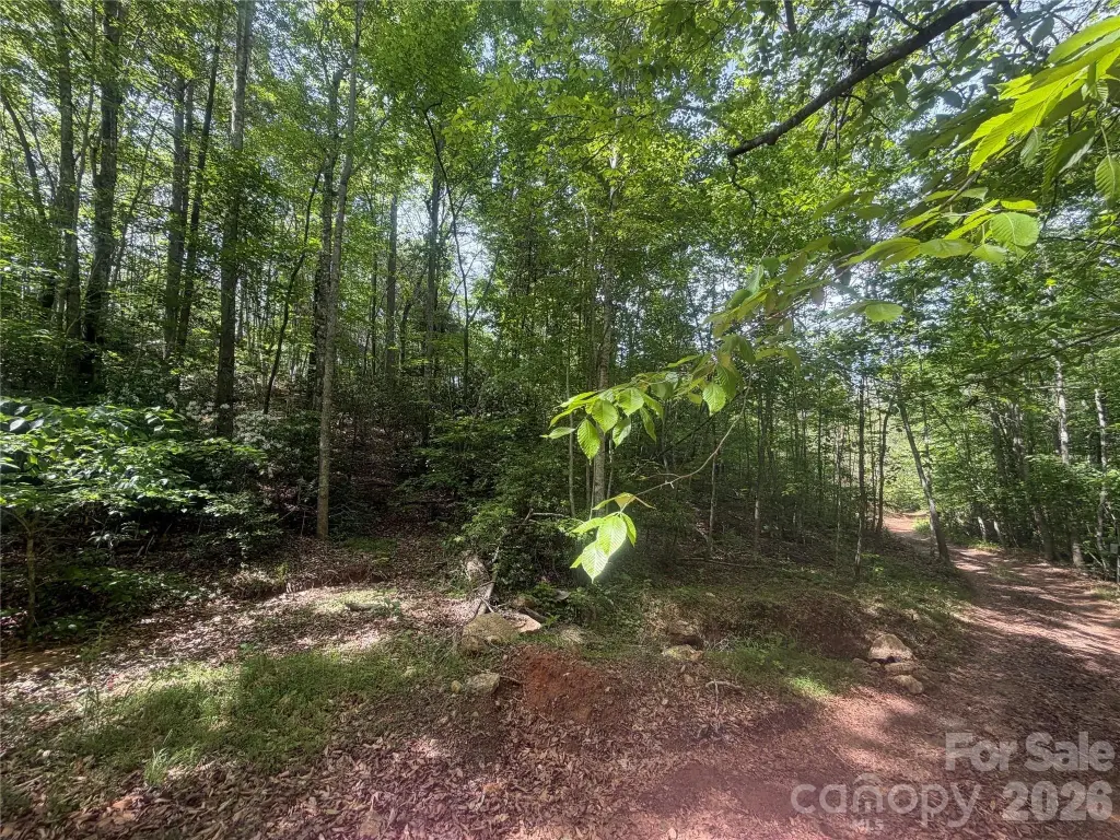 Picture 25
