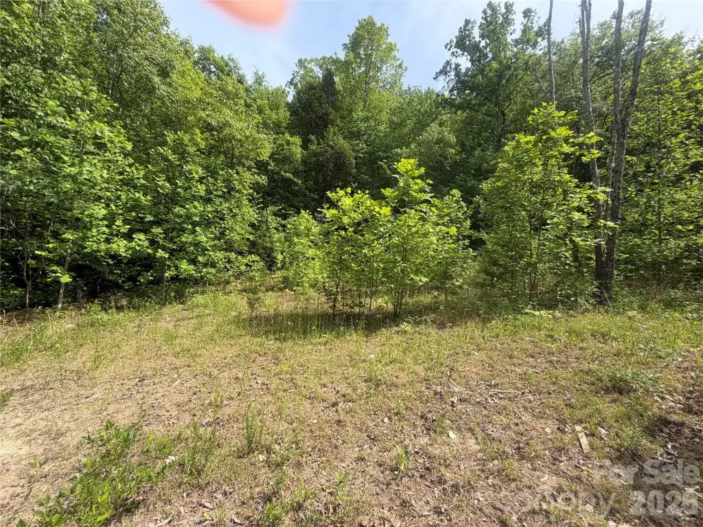 Picture 16