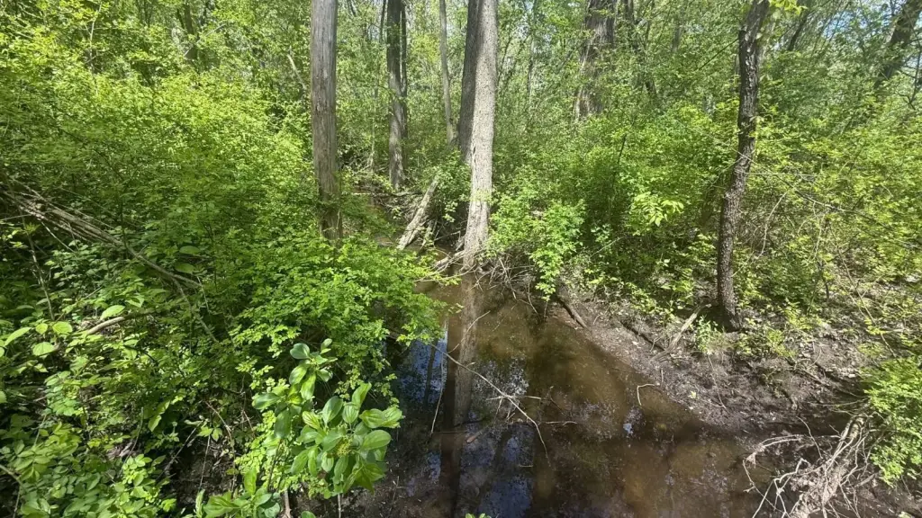 Picture 17