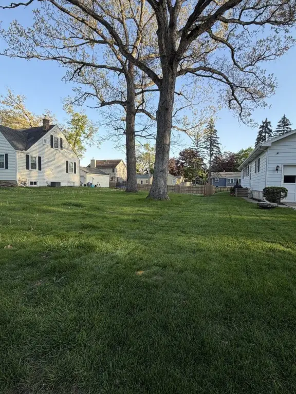 Picture 4