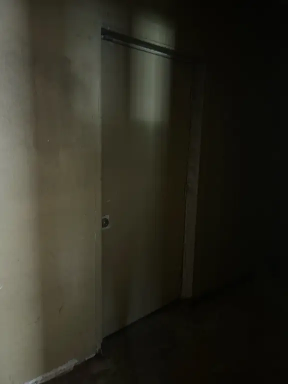 Picture 29