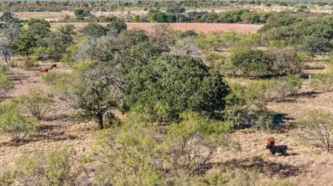 Hunting and Recreational Land in Bryson