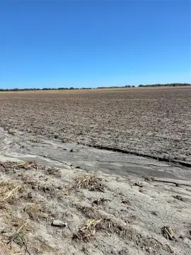 Open Farmland with Creek Frontage