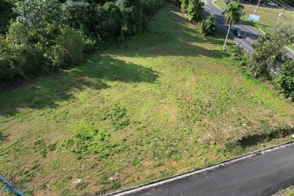 Picture 6