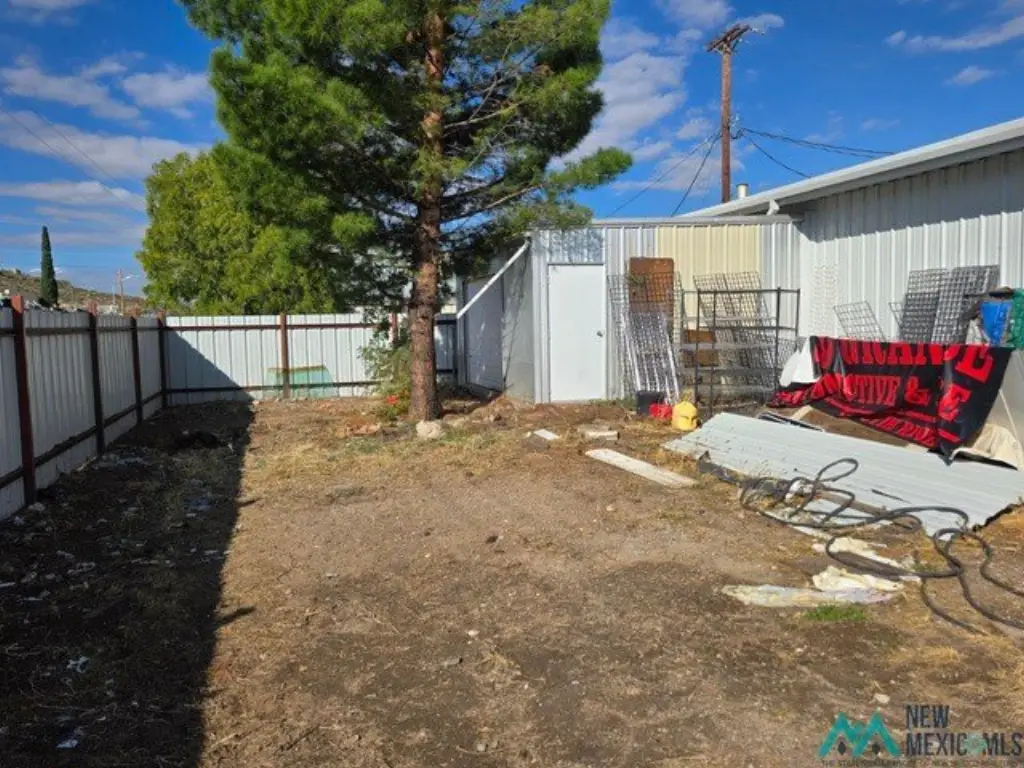 Picture 14