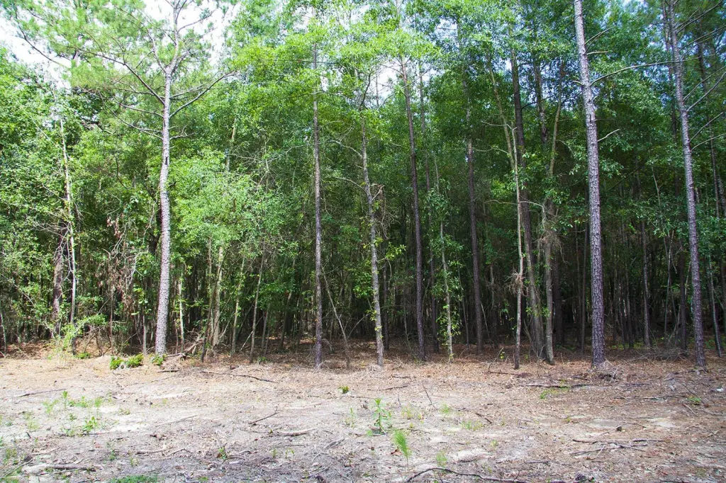 Picture 15