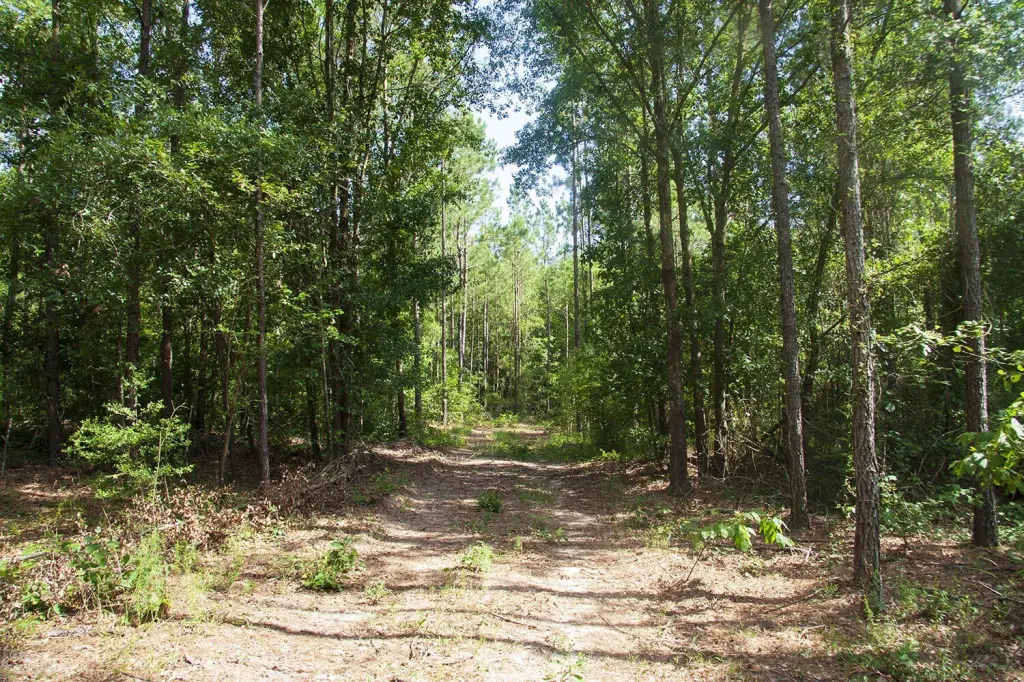 Picture 7