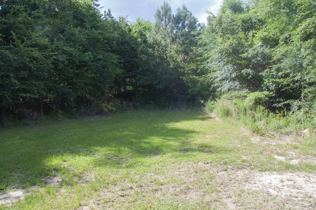 Picture 3