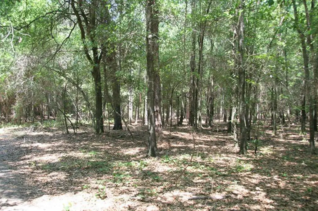 Picture 13