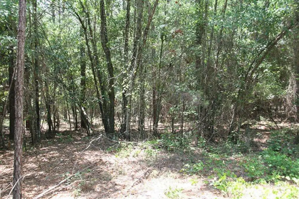 Picture 18