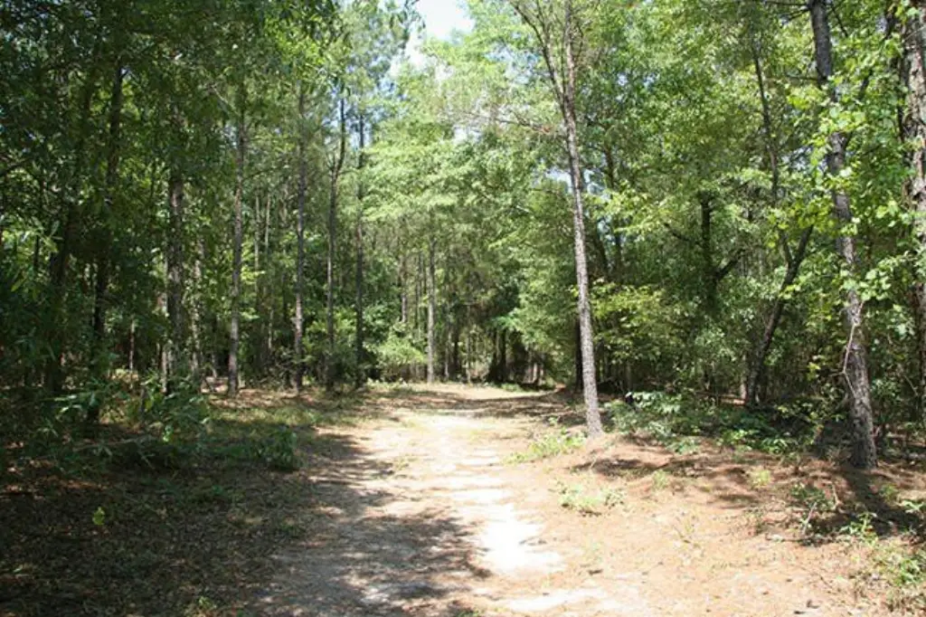 Picture 29