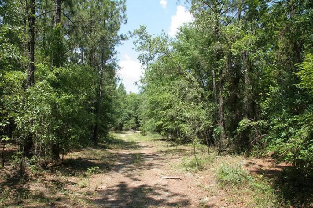 Picture 33