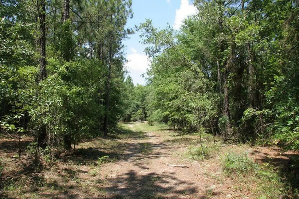 Picture 34