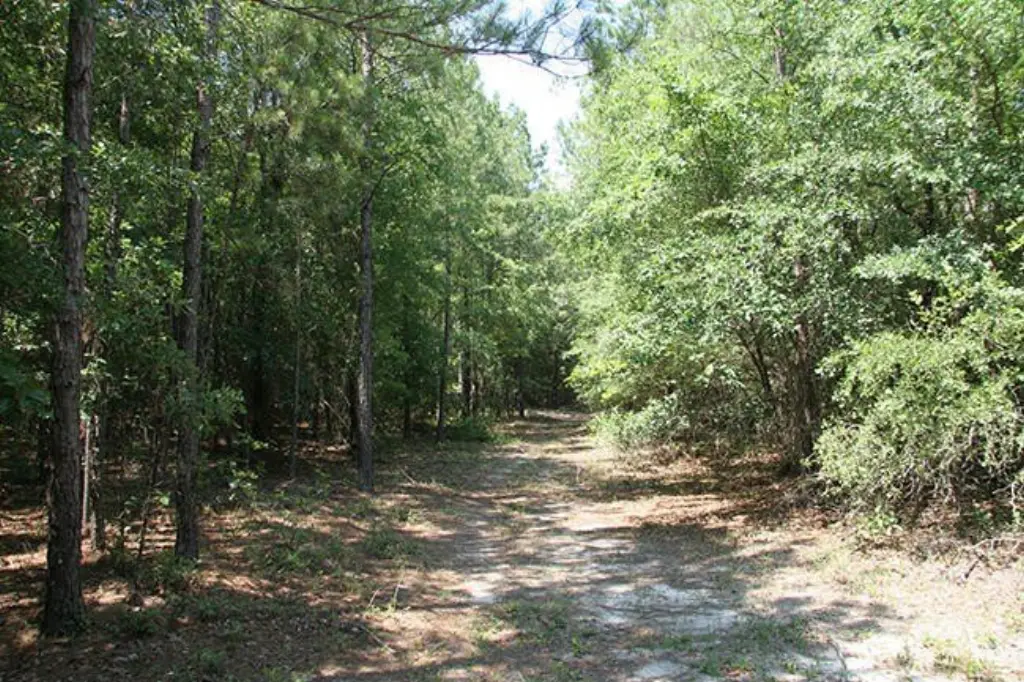 Picture 35