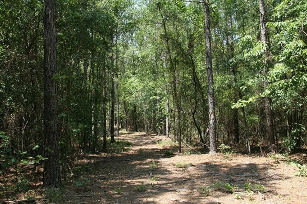 Picture 20