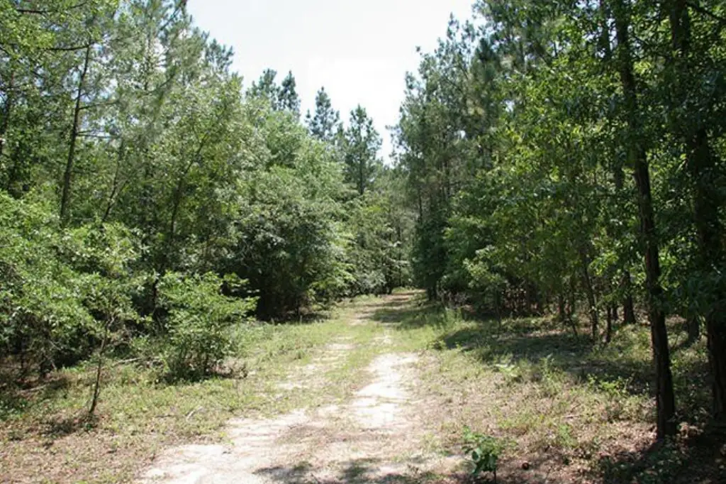 Picture 37
